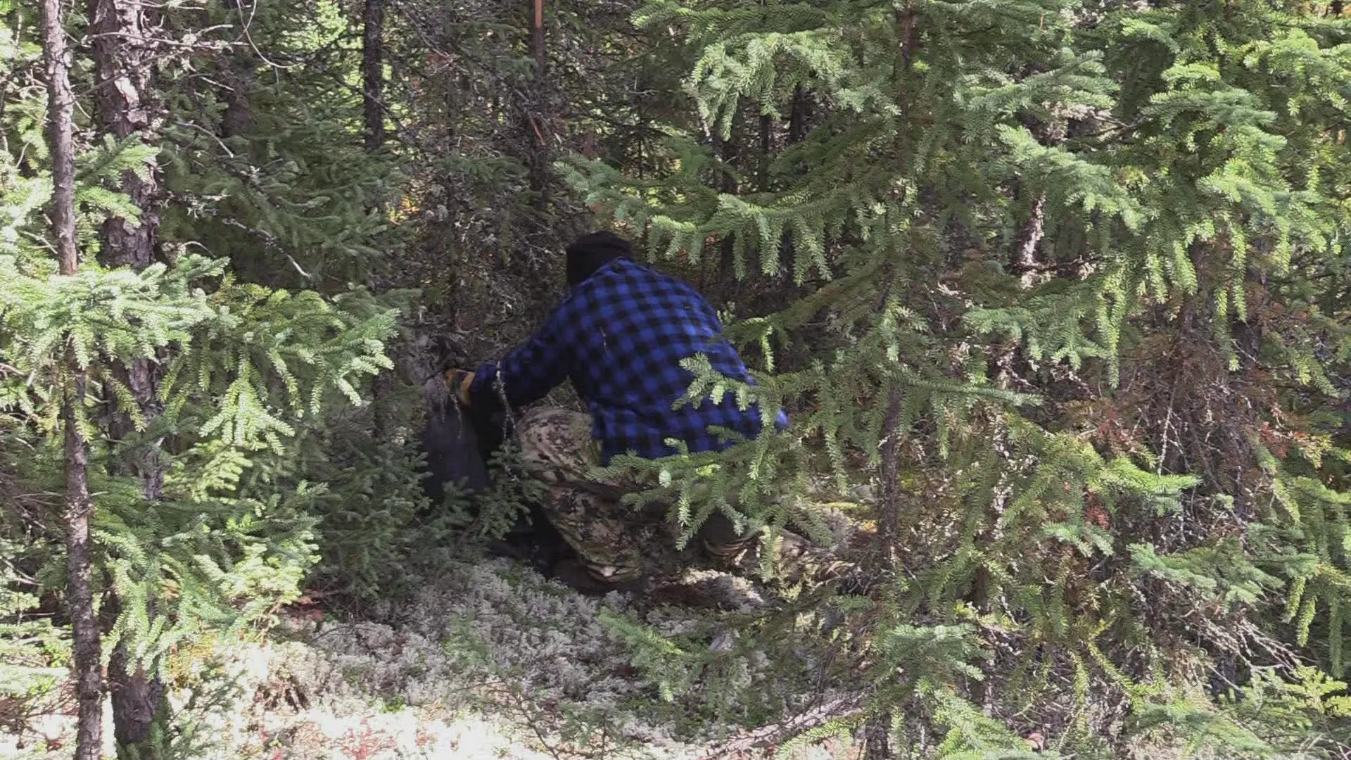 thumbnail - S12:E98 Most Dangerous Moments