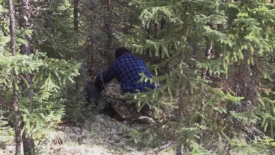 thumbnail - S12:E98 Most Dangerous Moments