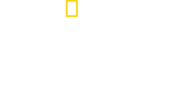 Oceani: tesori da salvare