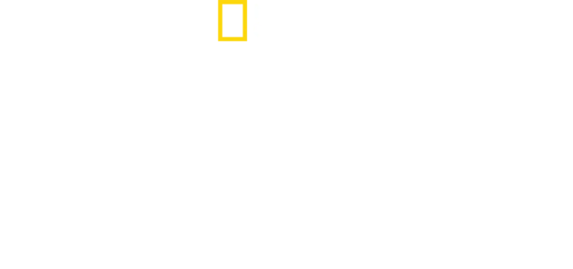 Pohled zevnitř: Severní Korea: Tři Kimové