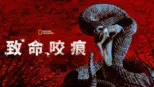 thumbnail - 致命咬痕