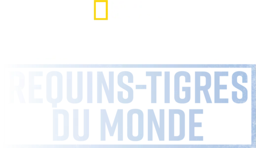 Les requins-tigres géants