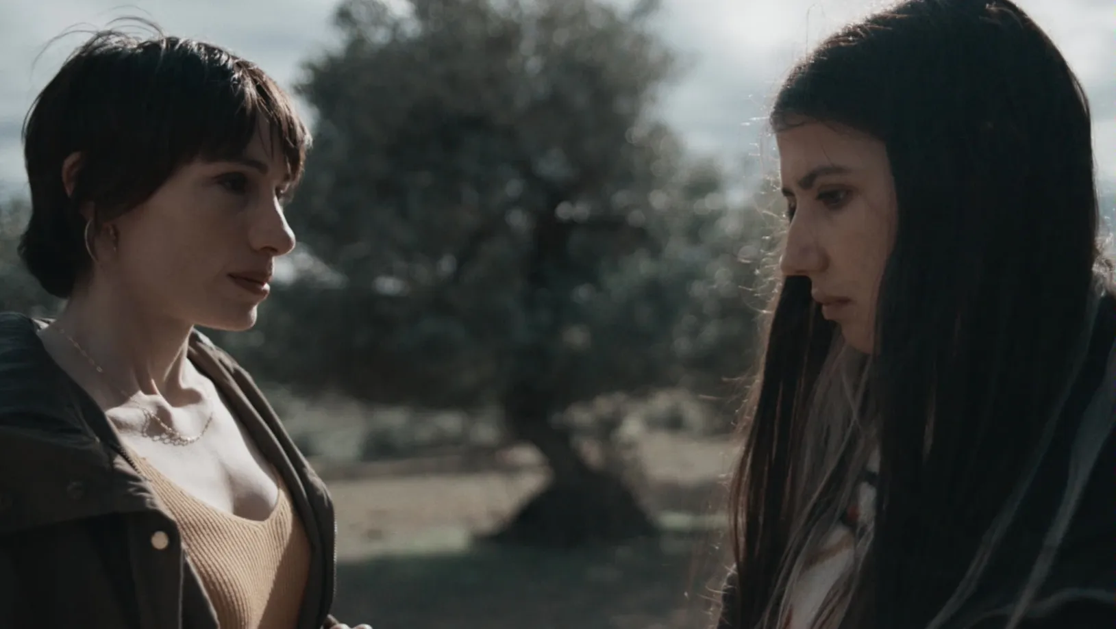 thumbnail - S1:E5 The hunt for the pigeon