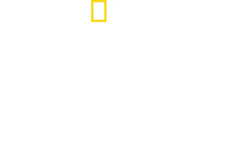 完全決着！ジョーズvsシャチ