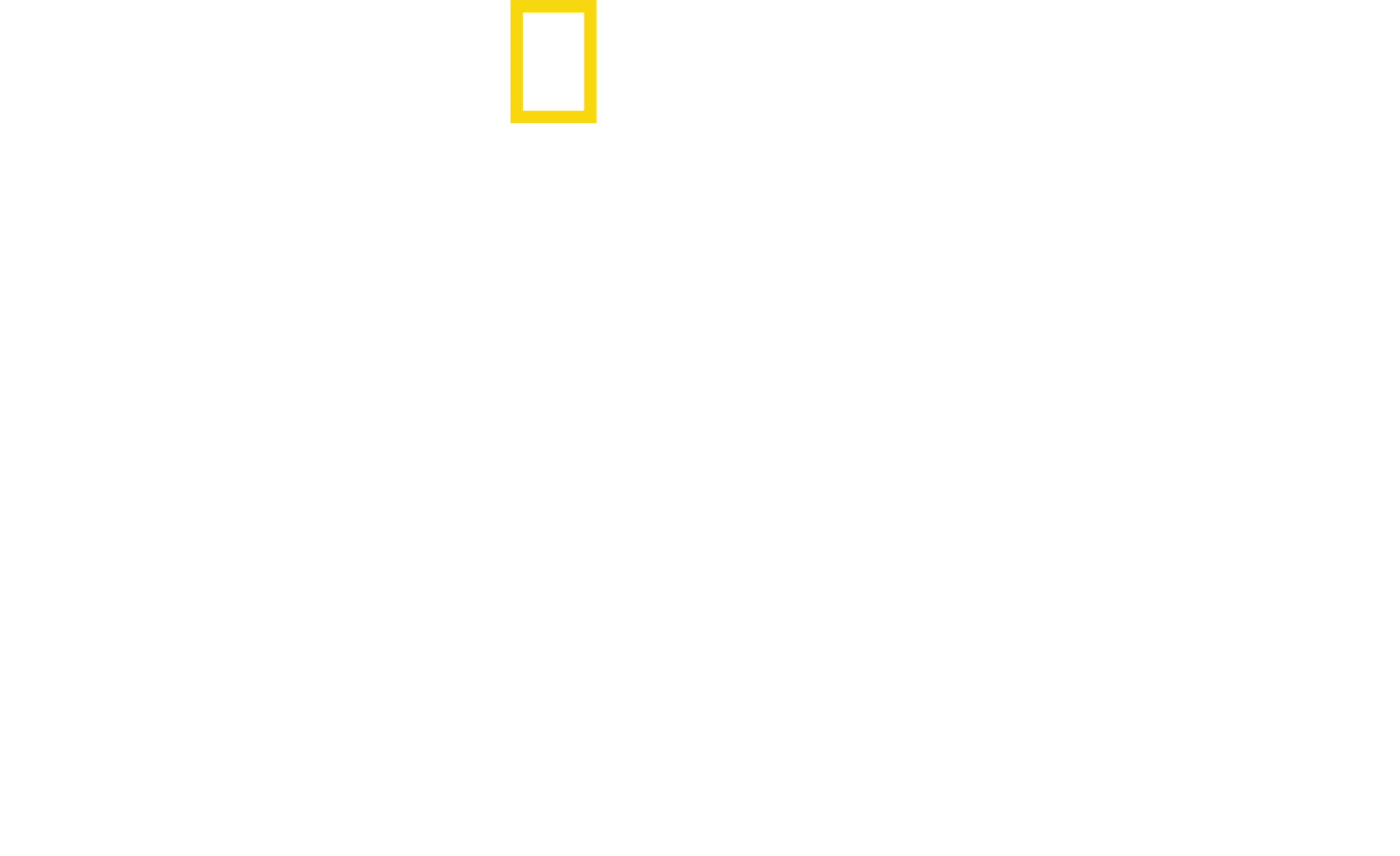 完全決着！ジョーズvsシャチ