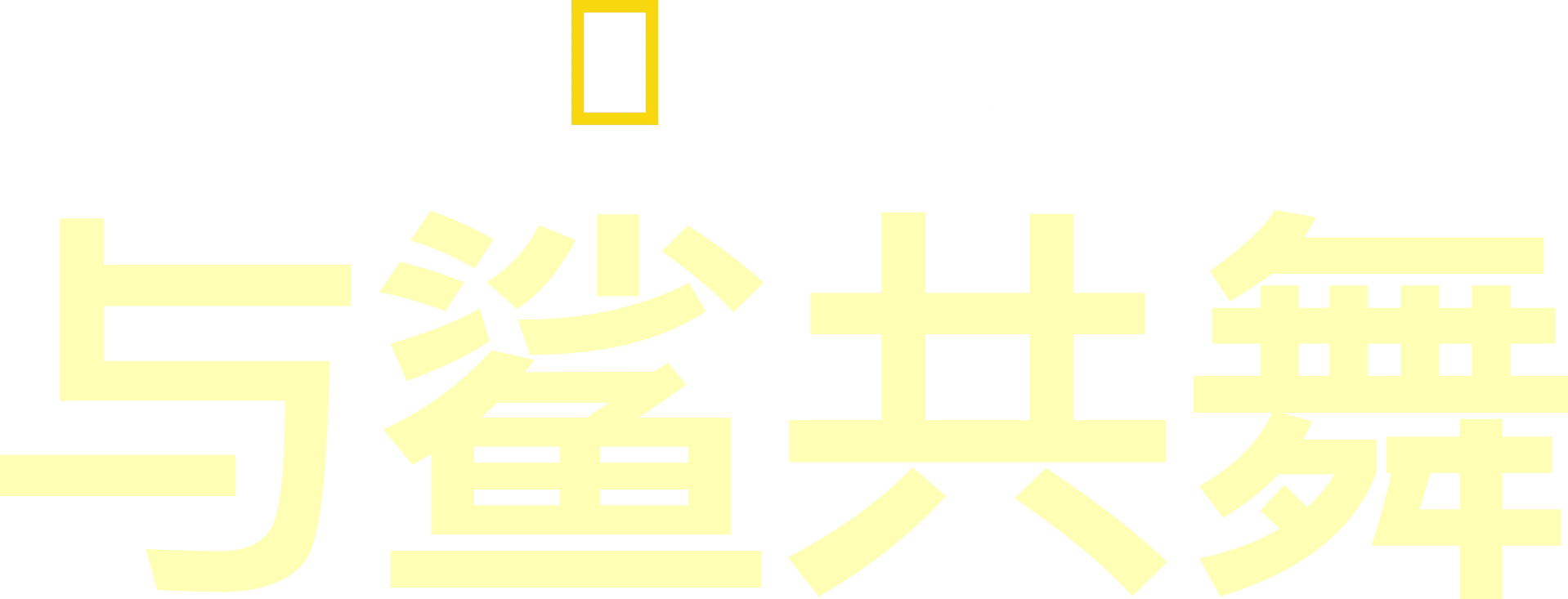 与鲨共舞