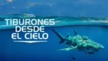 thumbnail - Tiburones desde el Cielo