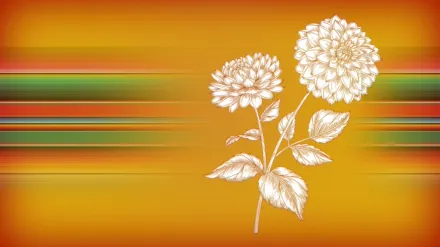 Hispanic Heritage Month: Entre Nos