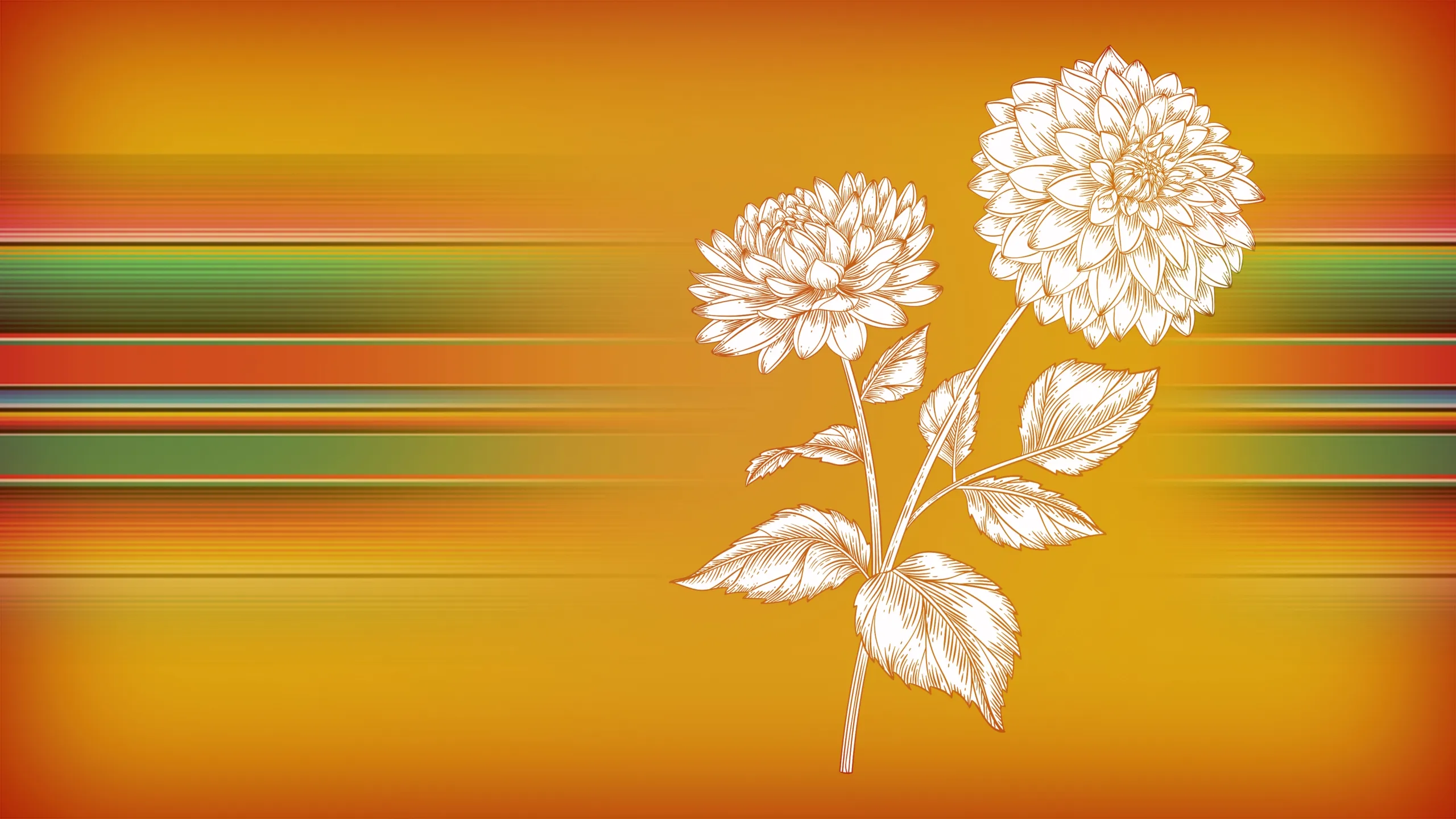 Hispanic Heritage Month: Entre Nos