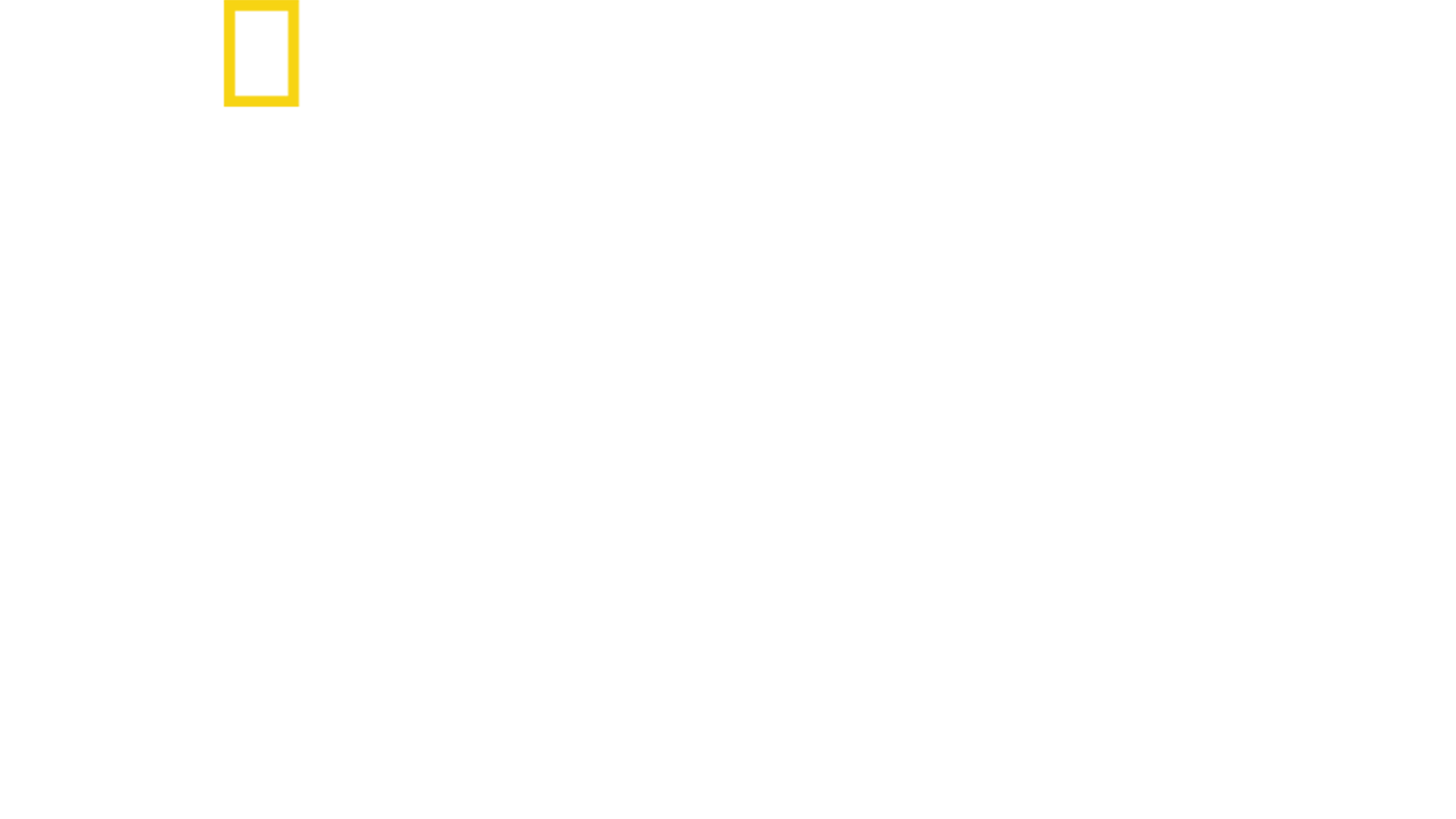 魅惑的翅膀：天堂鸟