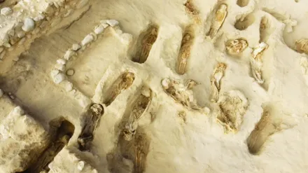 Ciudades perdidas: La inundación