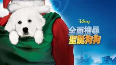 全面搜尋聖誕狗狗