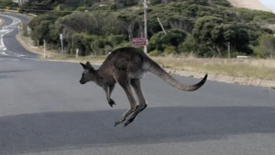 thumbnail - S1:E6 Kangaroo Kaos