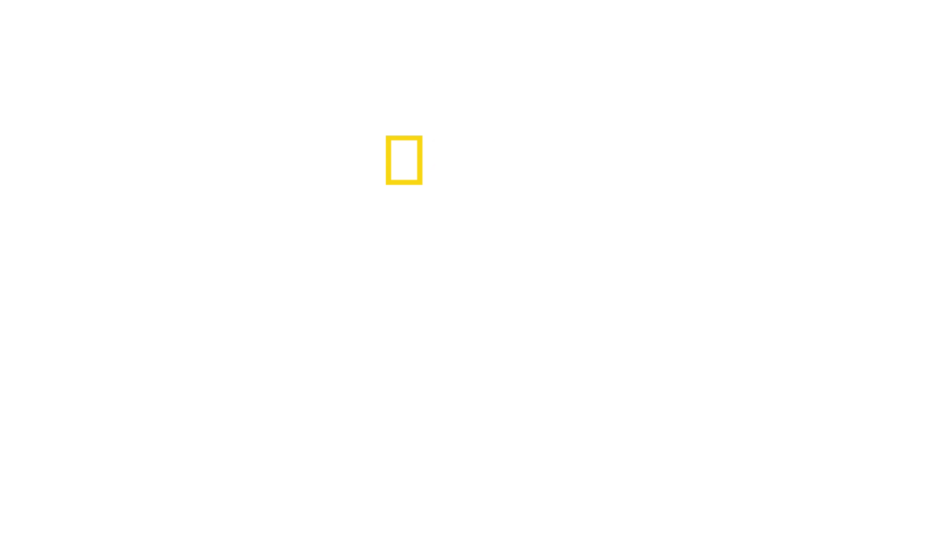 Dr.ssa Susan: missione veterinaria