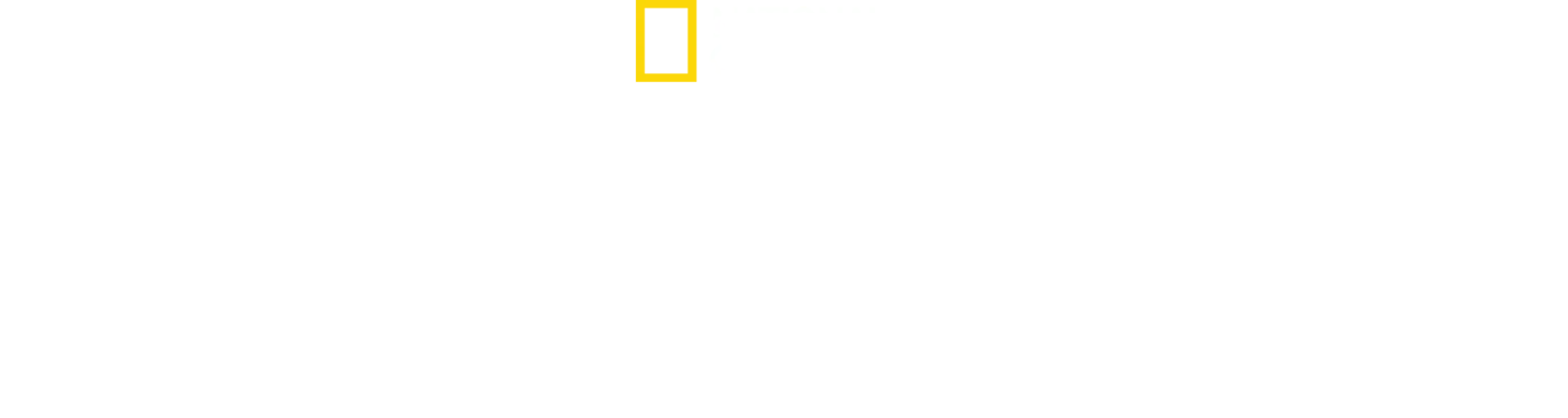 Dr.ssa Susan: missione veterinaria