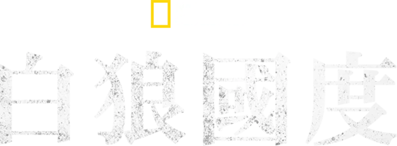 白狼國度