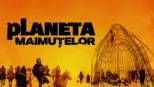 thumbnail - Planeta maimuțelor