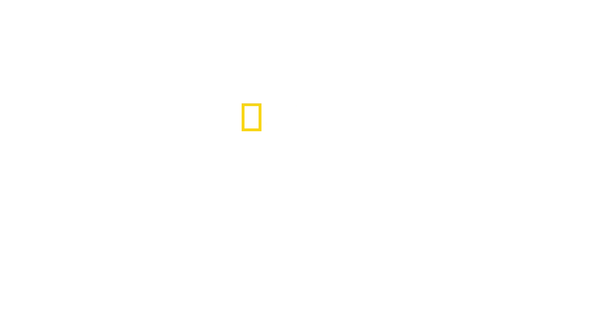 Ataques de Tubarão: Paige Winter, A Sobrevivente