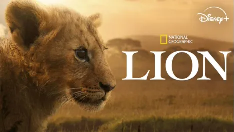 Lion S1