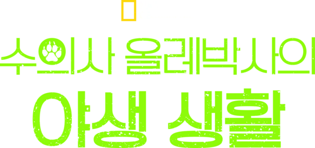 수의사 올레박사의 야생 생활