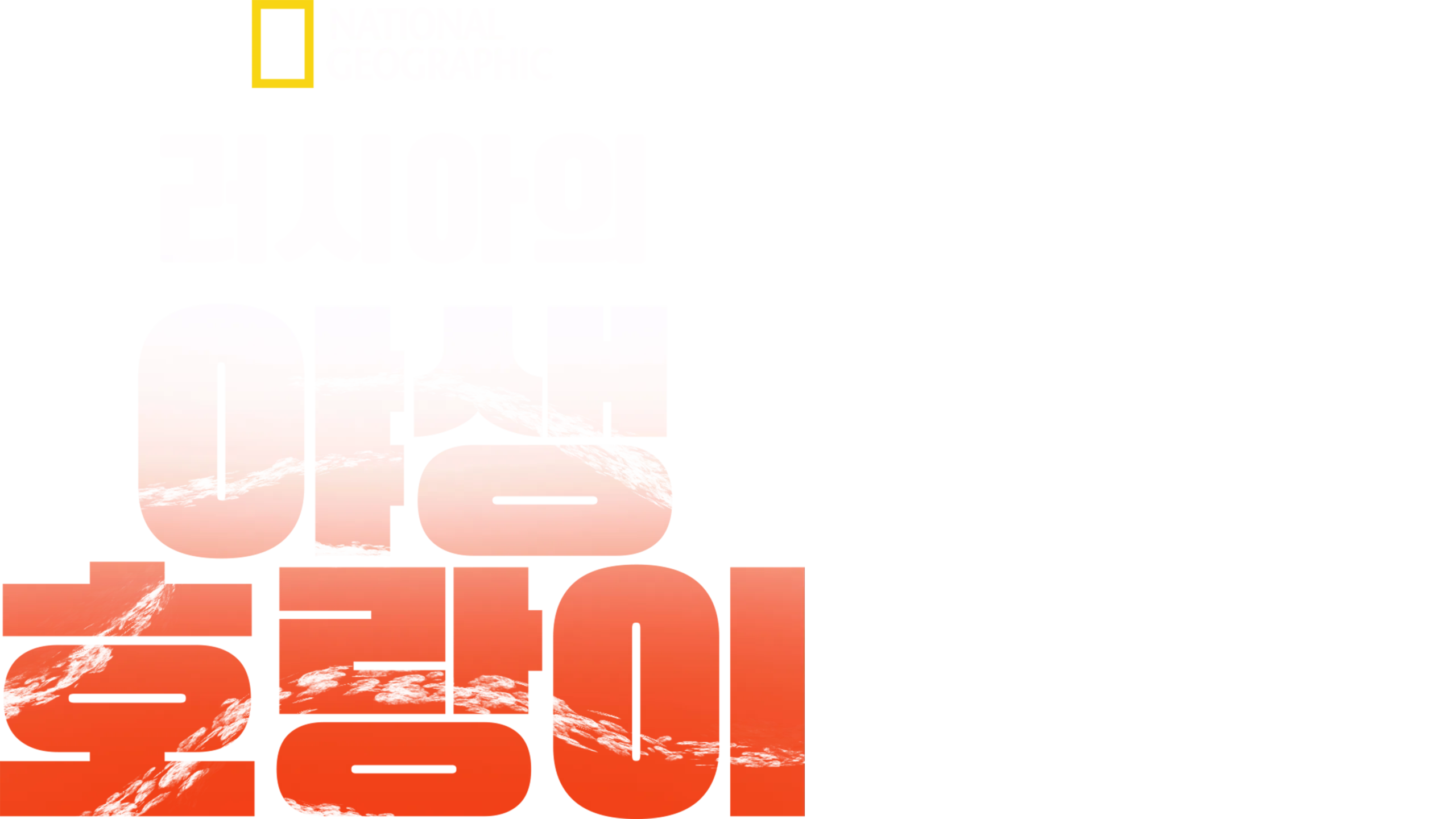 러시아의 야생 호랑이