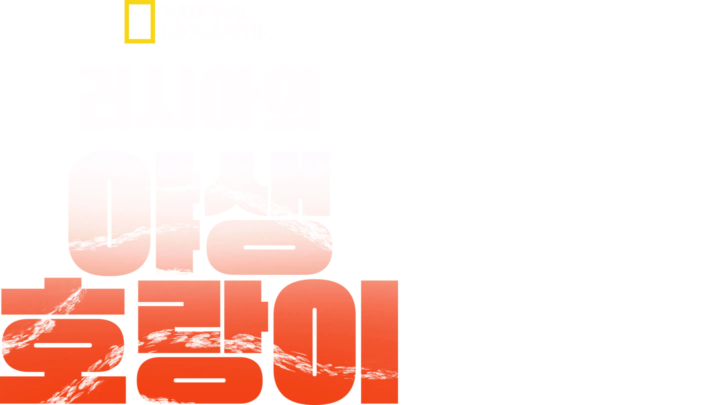 러시아의 야생 호랑이