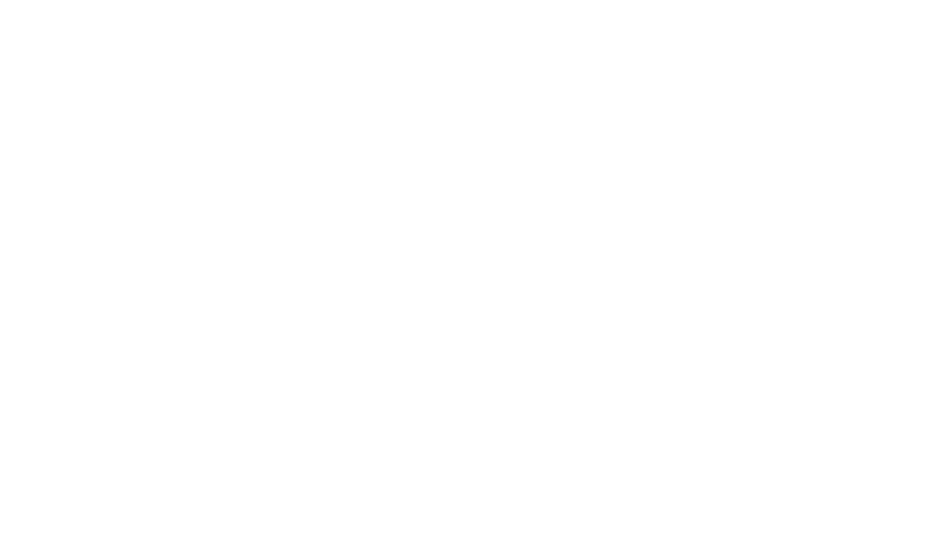 Clochette et les fées à la rescousse