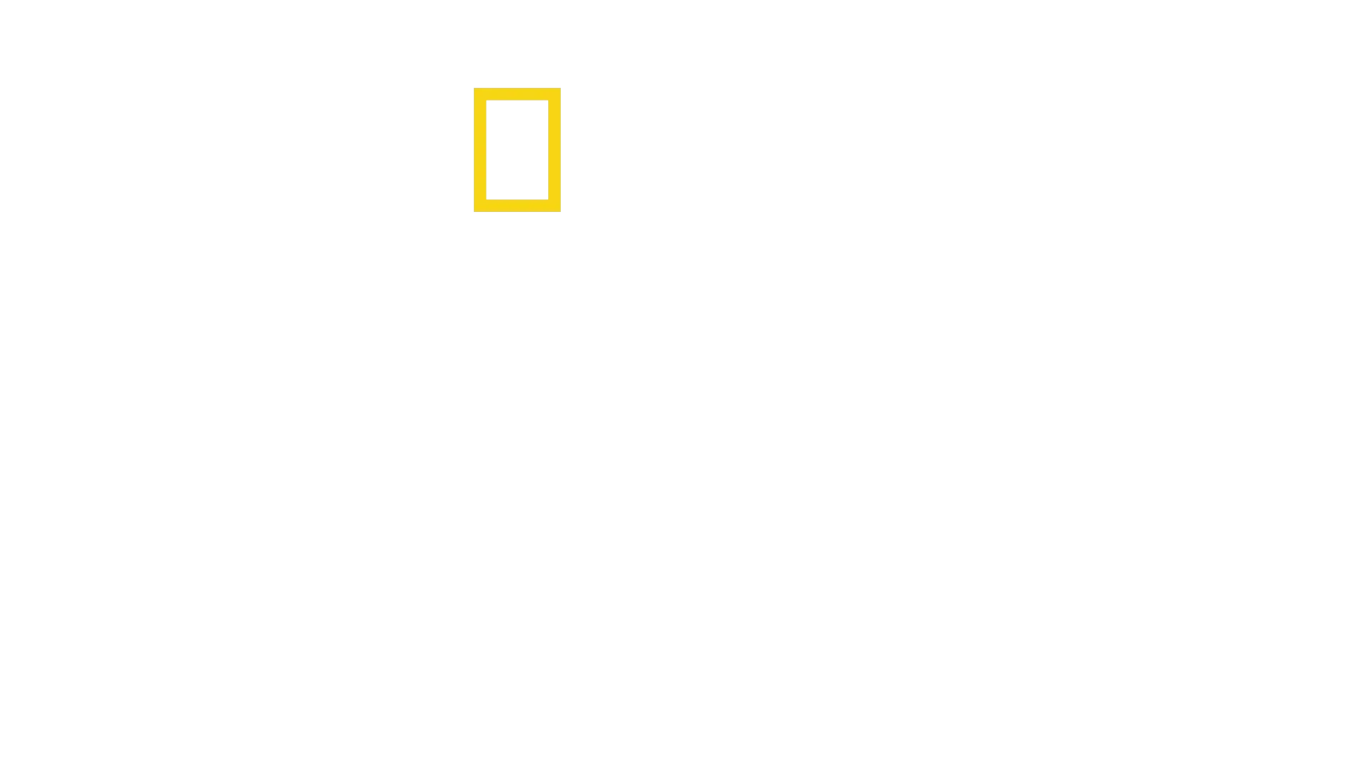 独占！『ジョーズ』50 周年：スピルバーグが語る伝説の裏側
