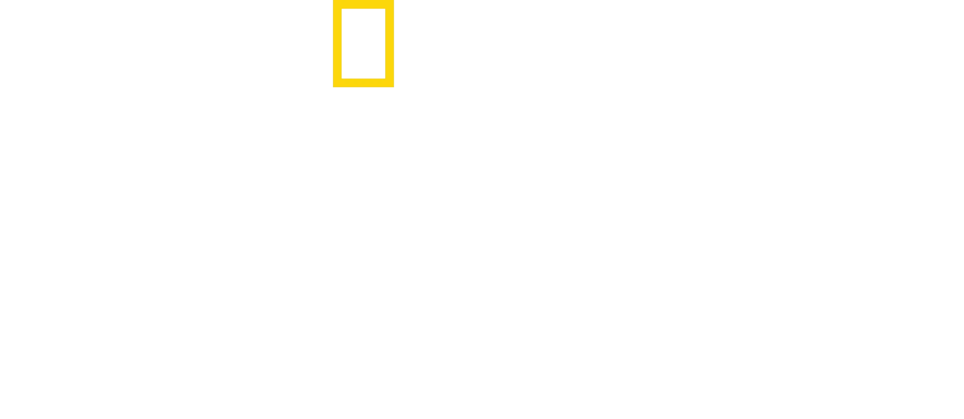 独占！『ジョーズ』50 周年：スピルバーグが語る伝説の裏側