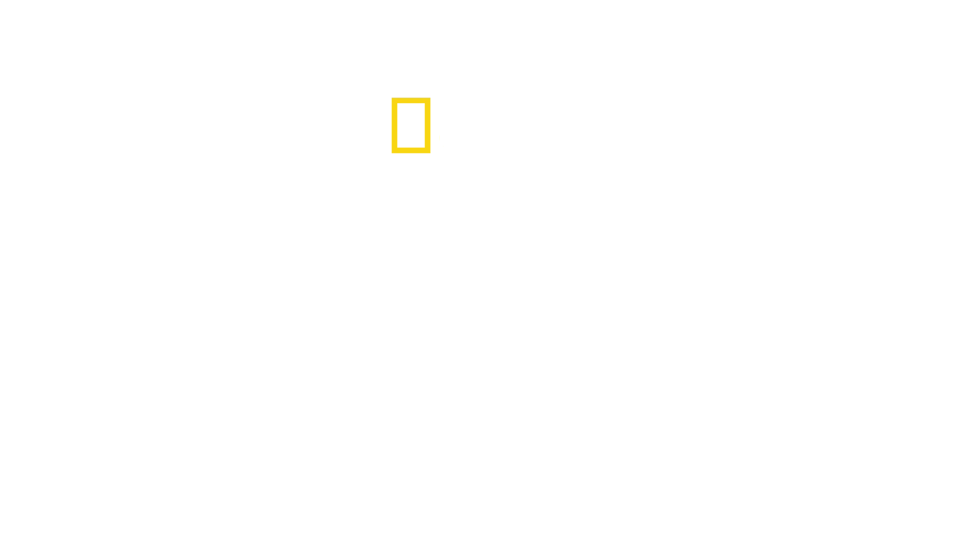 Squali vs Coccodrilli: morso letale