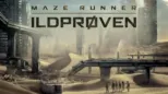 thumbnail - Maze Runner: Ildprøven
