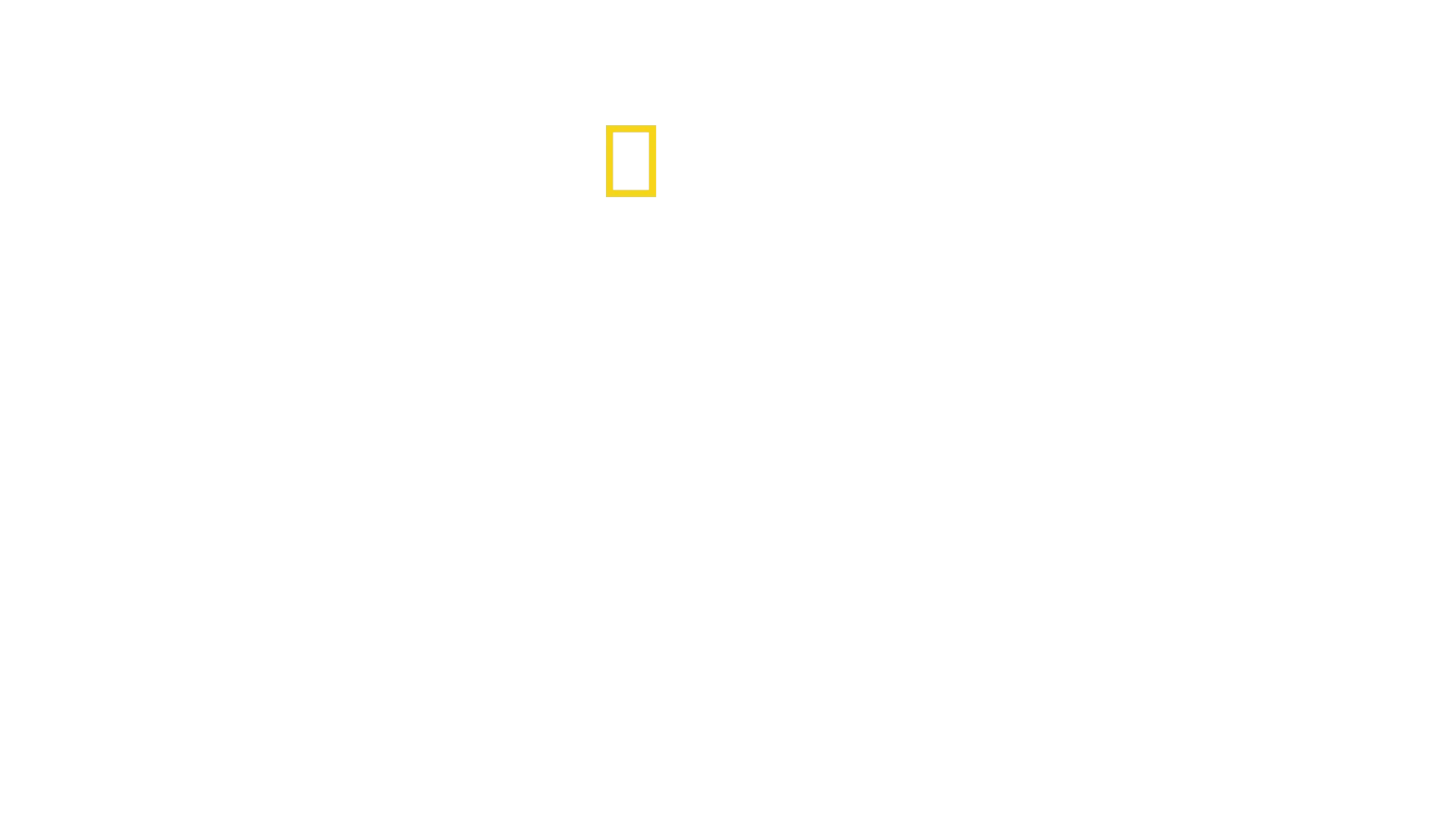 Vilde dyr i voksealderen