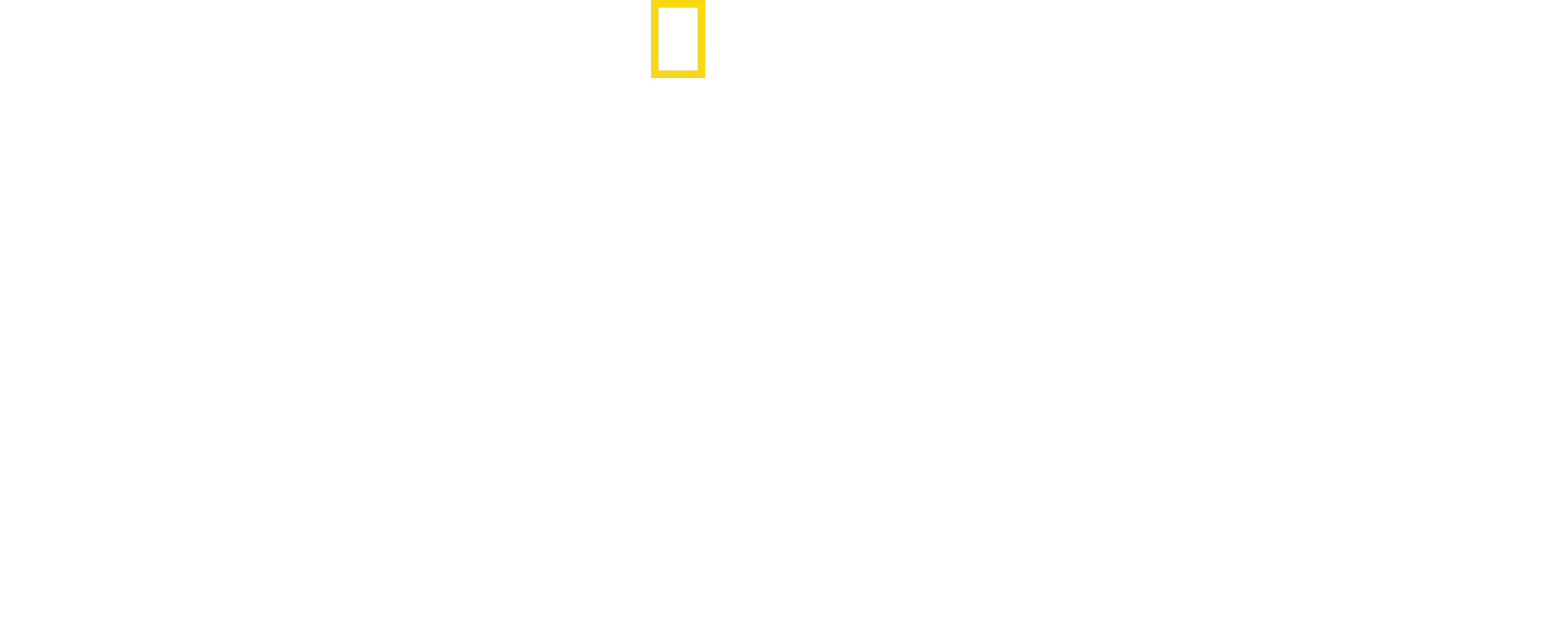 Vilde dyr i voksealderen