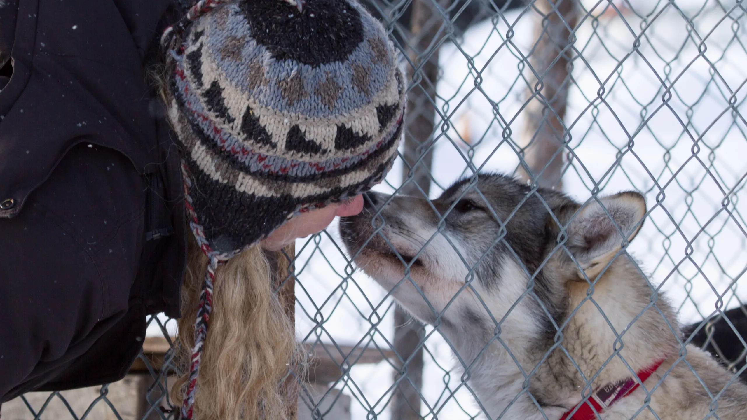 thumbnail - S1:E7 Cold, Dark and Alone