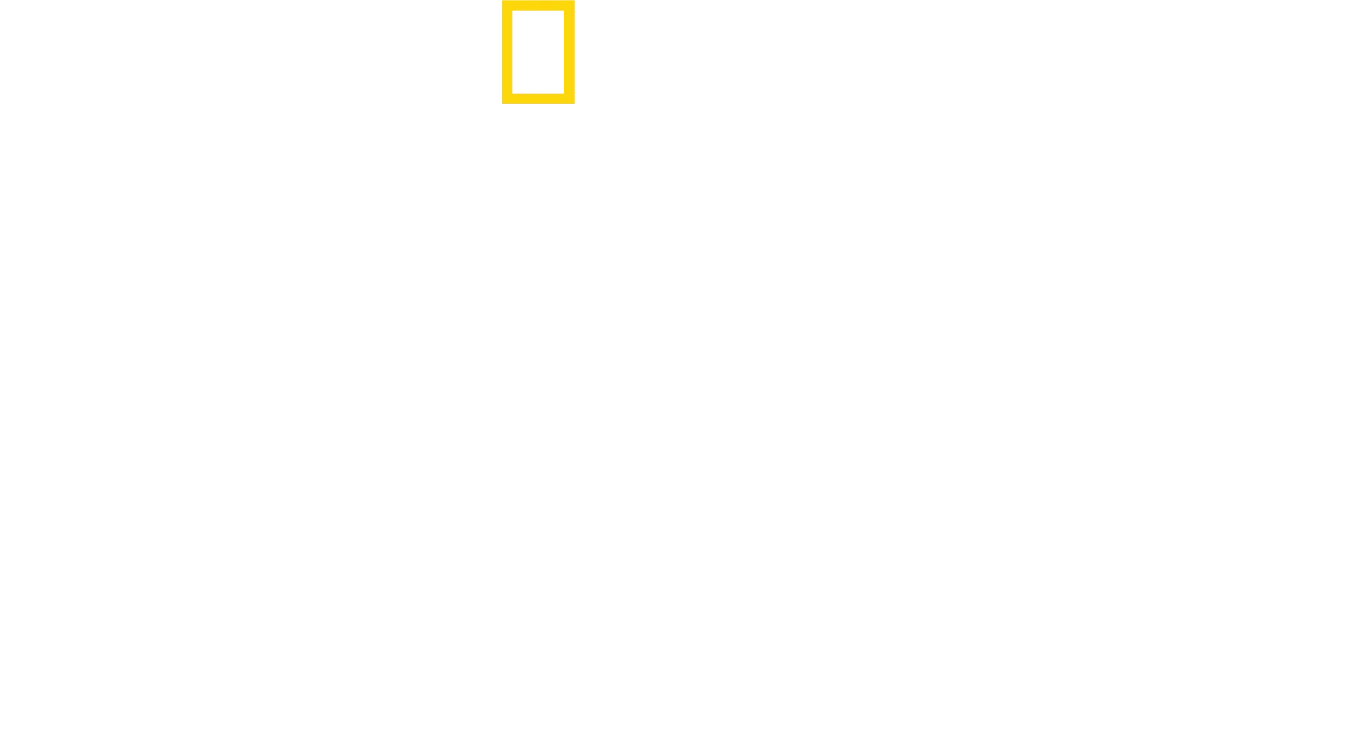 Expediție pe Amazon