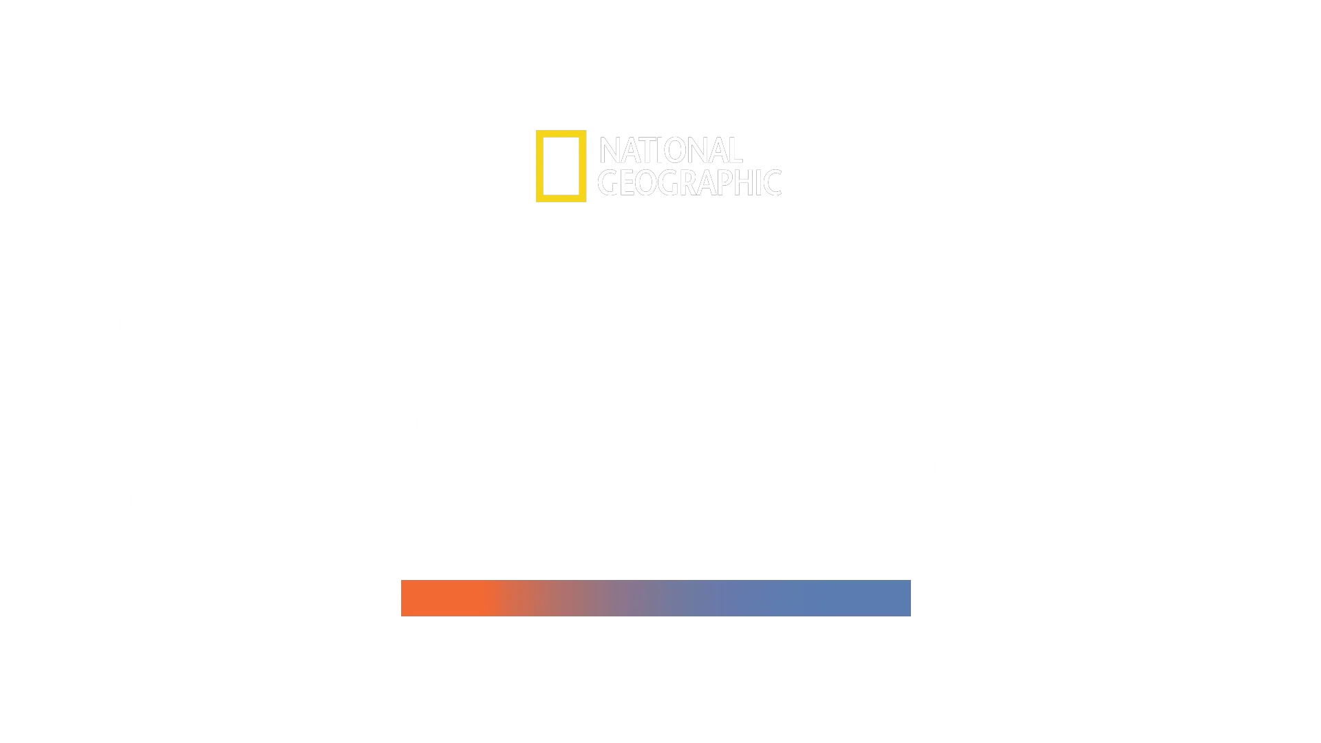 Den stora hammarhajen