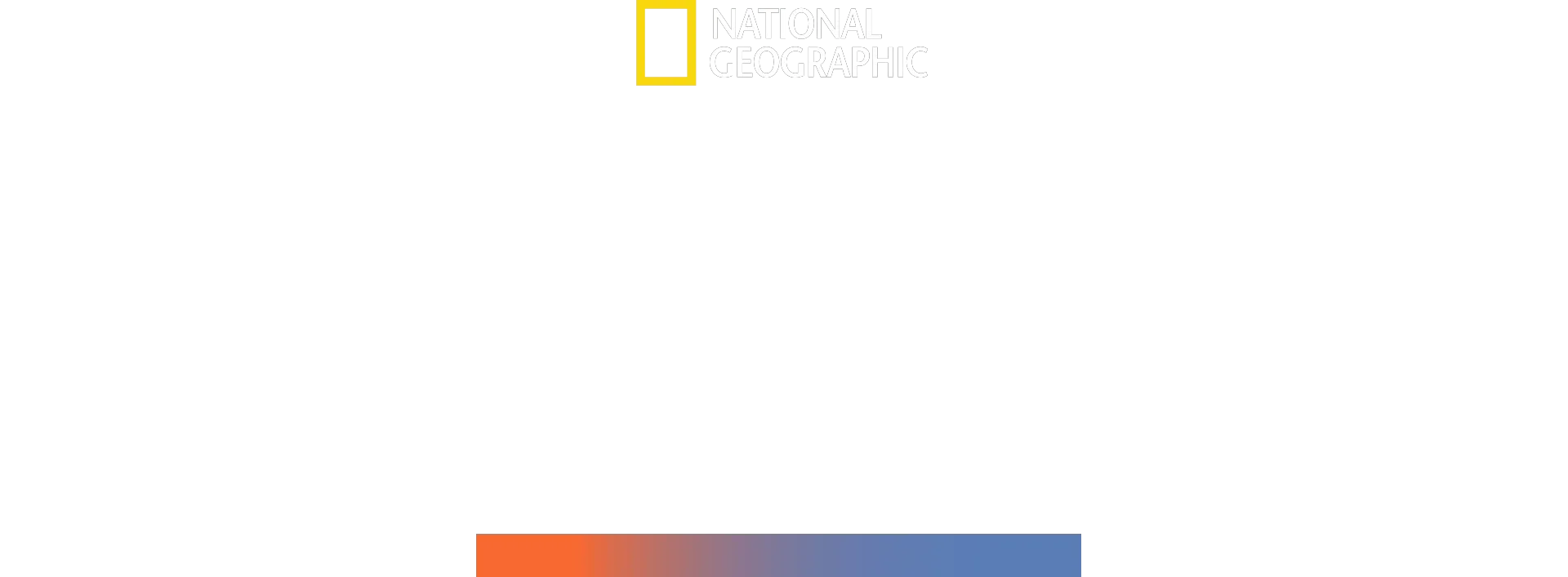 Den stora hammarhajen