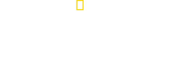 Lost Cities with Albert Lin: The Great Flood