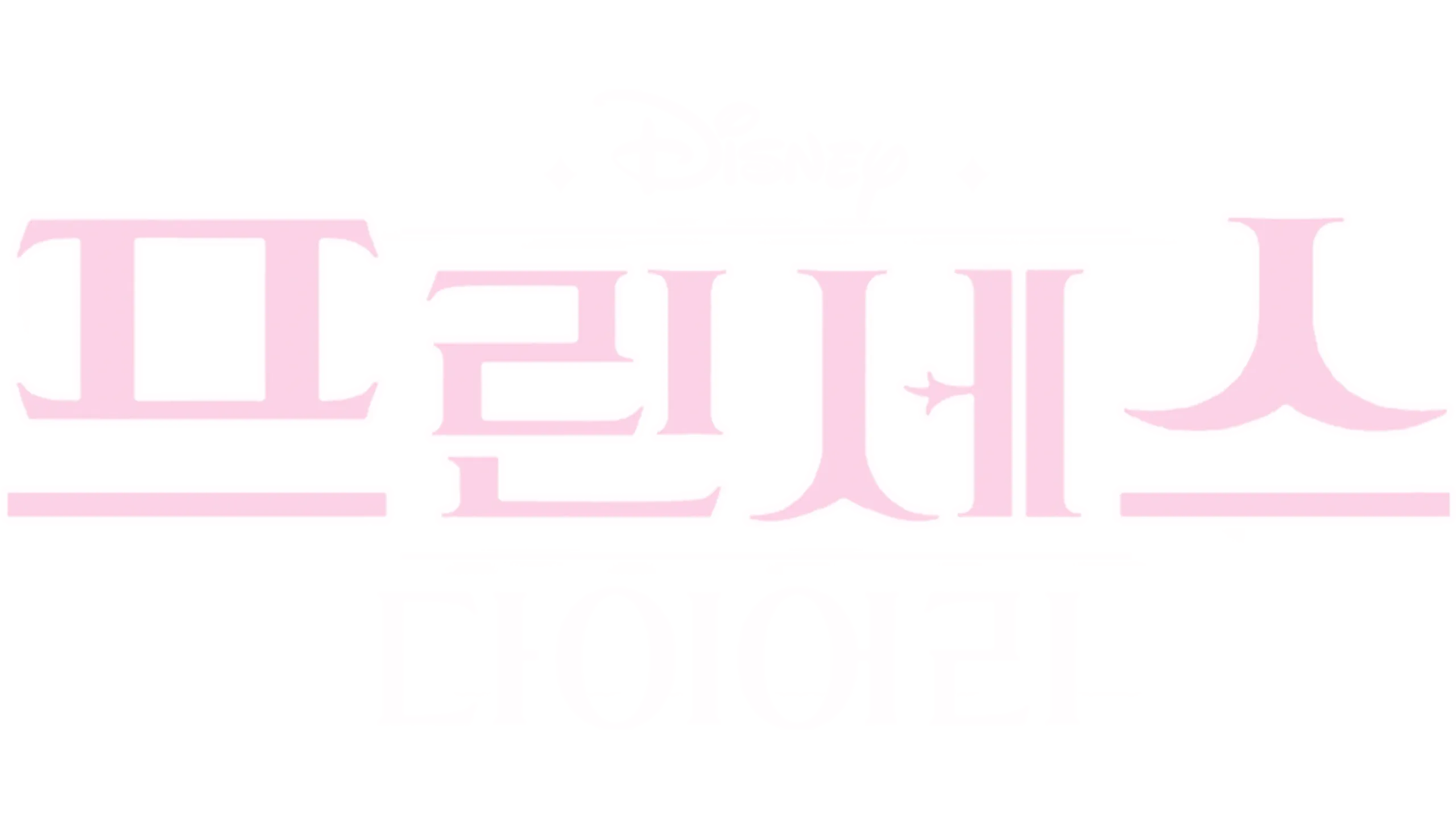 프린세스 다이어리