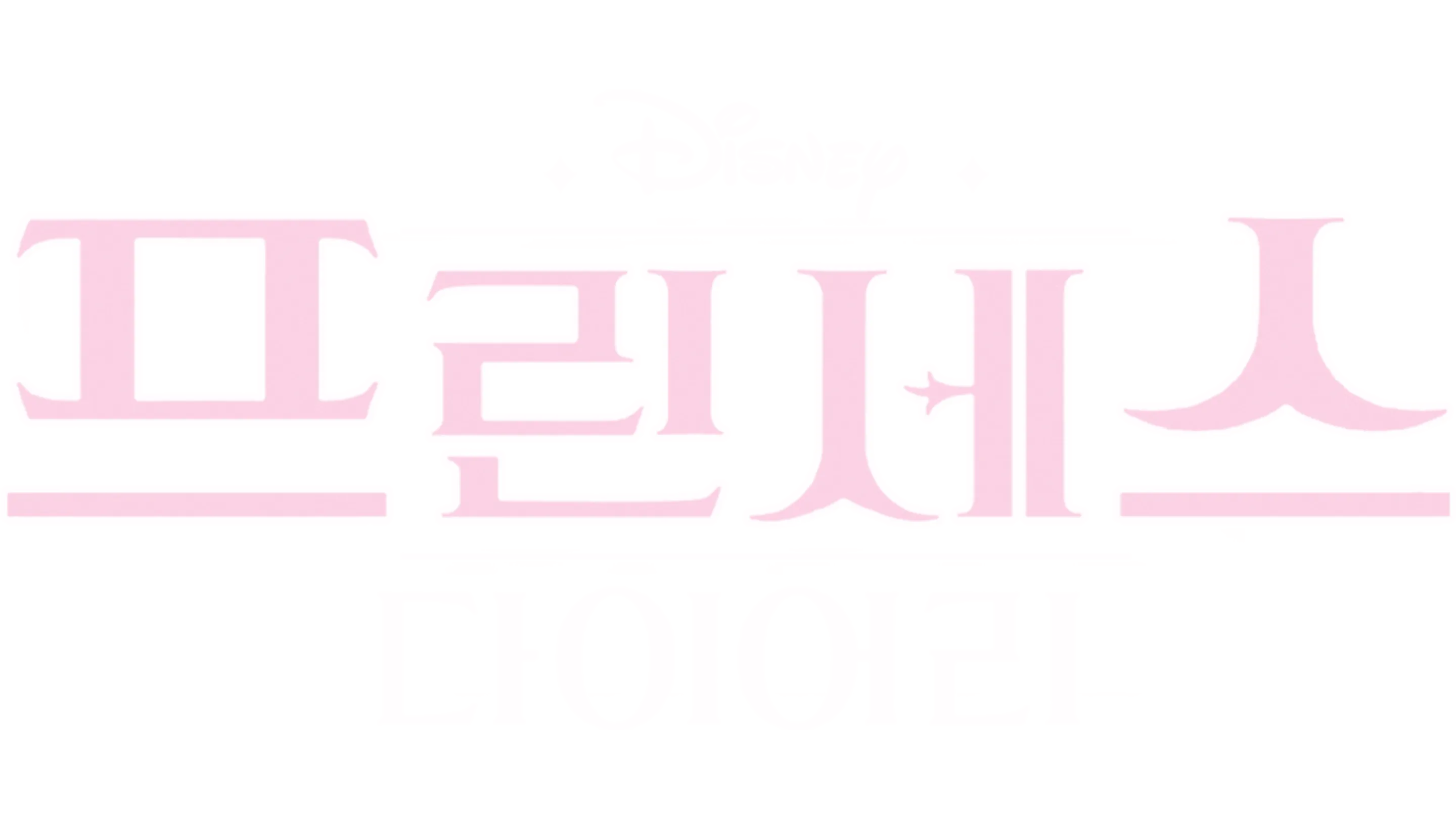 프린세스 다이어리