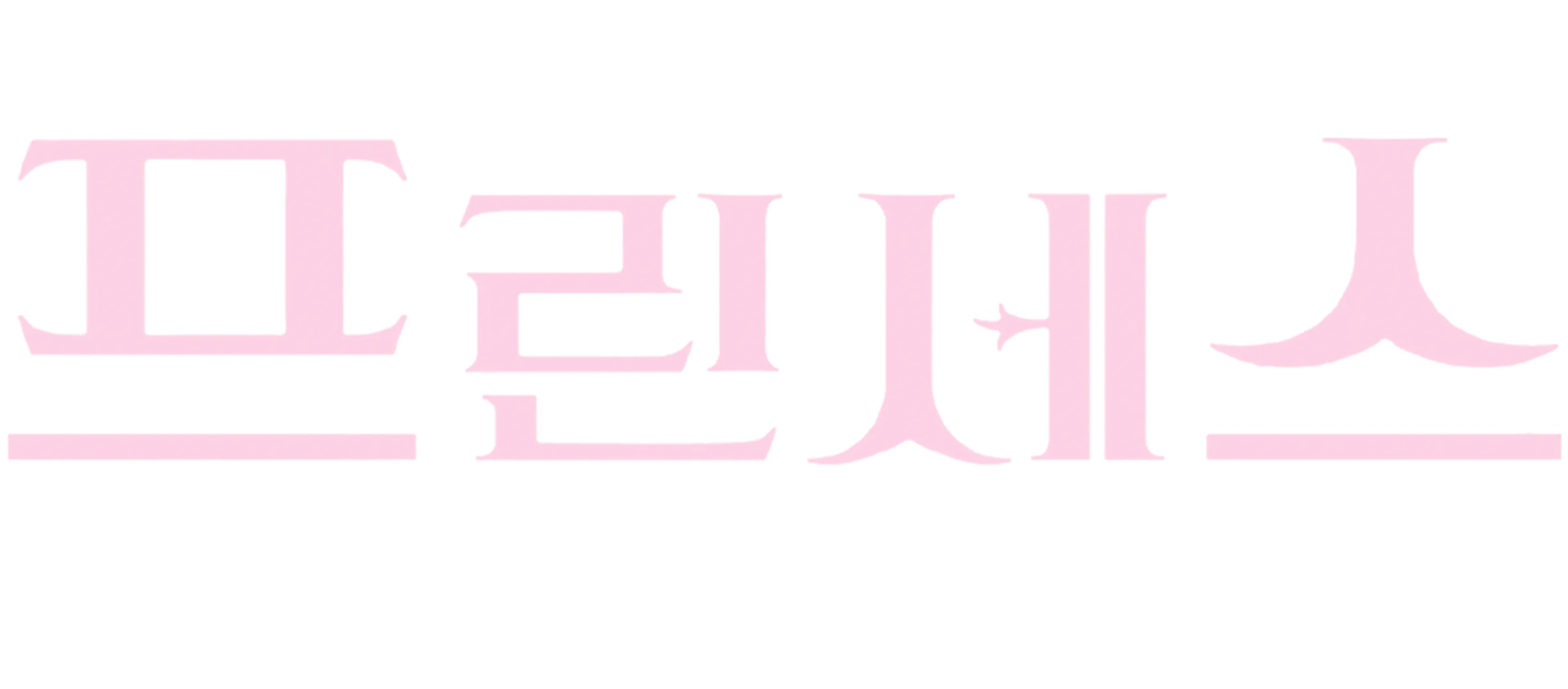 프린세스 다이어리