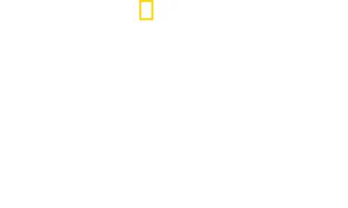 Made In A Day