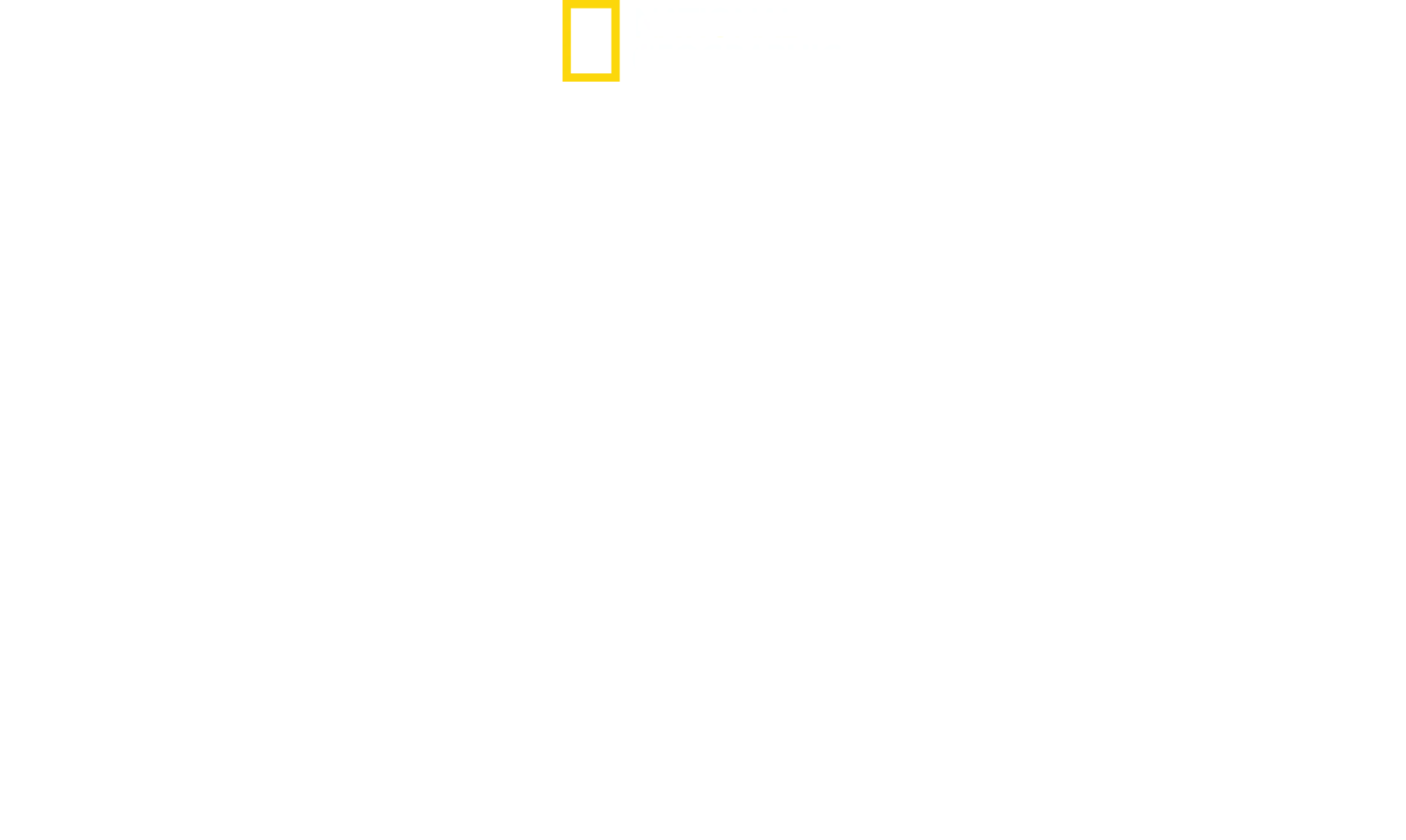 Made in a Day