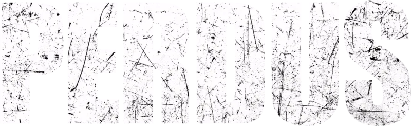 Perdus