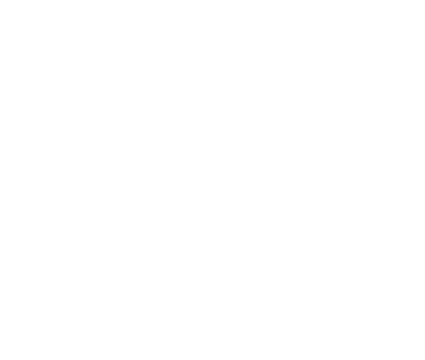 Flea Market Flip