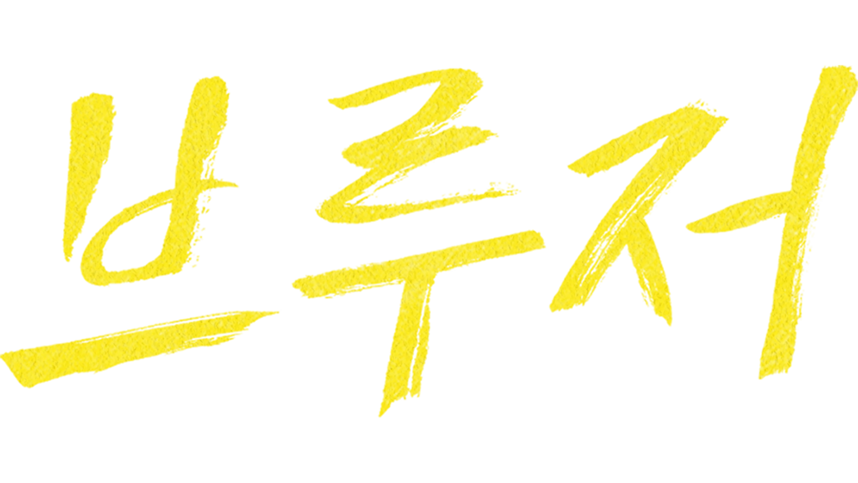 브루저