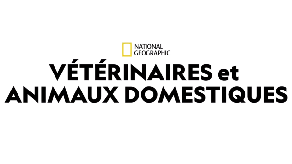Vétérinaires et animaux domestiques