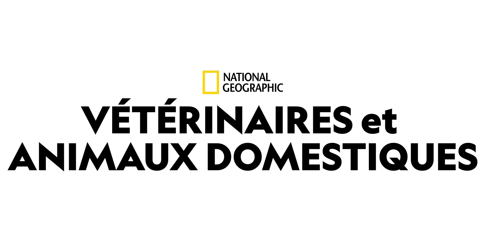 Vétérinaires et animaux domestiques