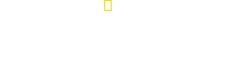 Cudowne lądowanie na rzece Hudson