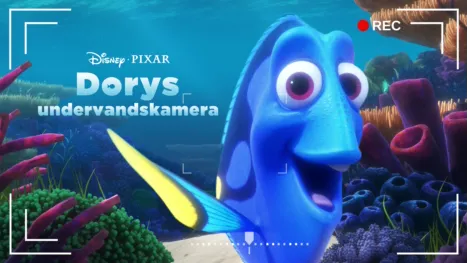 thumbnail - Dorys undervandskamera